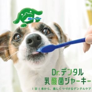 GREEN DOG & CAT 神戸本店のショップニュース