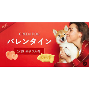 GREEN DOG & CAT 神戸本店のショップニュース