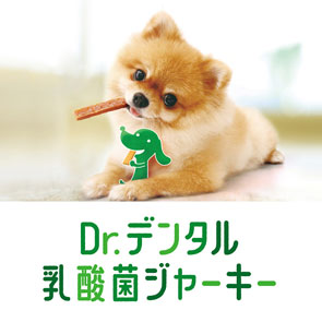 GREEN DOG & CAT 神戸本店のショップニュース