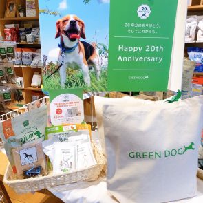 GREEN DOG & CAT 神戸本店のショップニュース