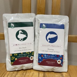 GREEN DOG & CAT 神戸本店のショップニュース