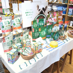 GREEN DOG & CAT 神戸本店のショップニュース