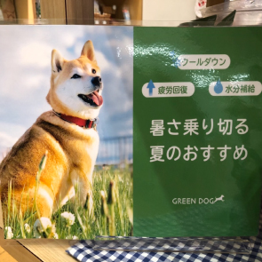 GREEN DOG & CAT 神戸本店のショップニュース