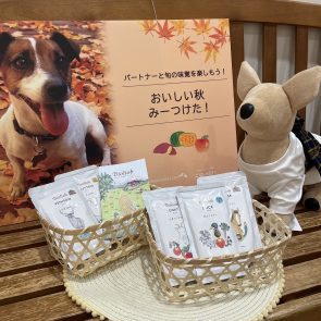 Leaf Tea Café HIKARIのショップニュース